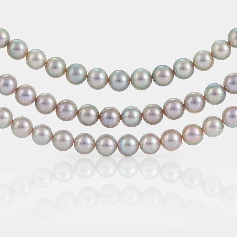 A three strand cultured pearl necklace.