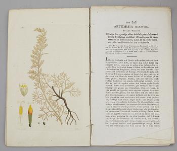JOHAN WILHELM PALMSTRUCH, "Svensk Botanik, vol I-V. 1803-1805.