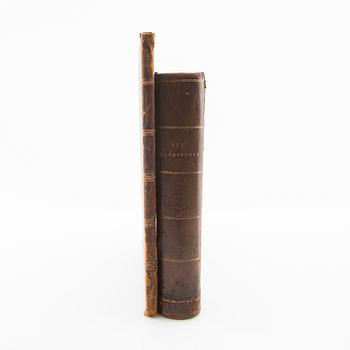 "Les Coléoptères..." & "Table Alphabetique .... Coléoptères", 2 volumes, Paris 1876 & 1875.
