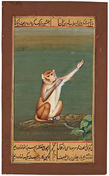 A set of four Mughal paintings by unknown artist, 19th Century.