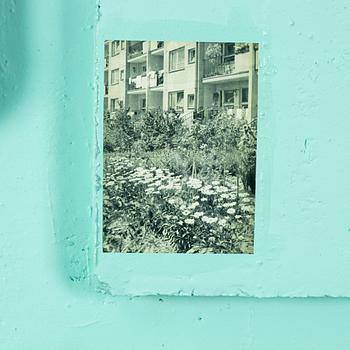 Przemek Pyszczek, 'Public Relief No.6'.