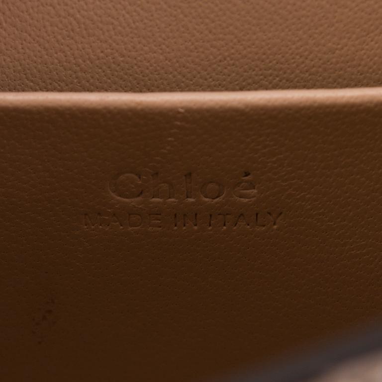 CHLOÉ Nile Bracelet Python Bag.