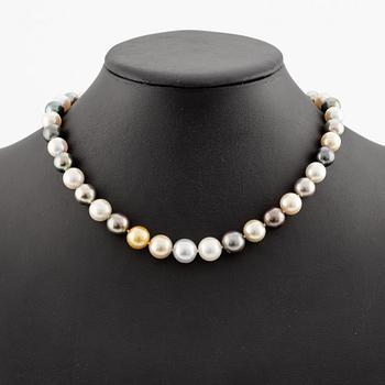 A necklace of cultured South Sea and Tahitian pearls.