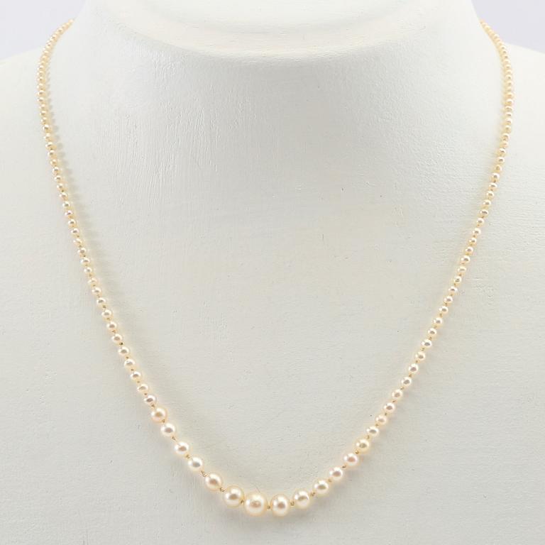 Necklace of cultured pearls with a clasp of gold set with diamonds.