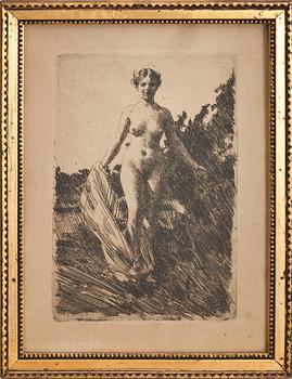 ANDERS ZORN, etsning, signerad och daterad i plåten.