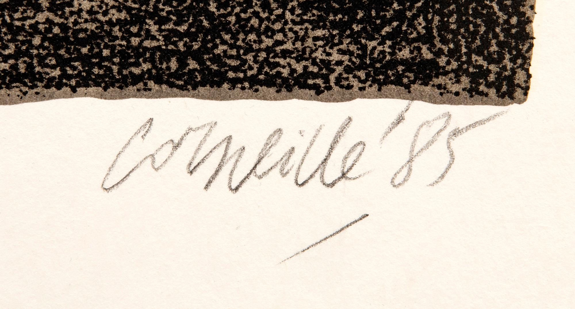 Beverloo Corneille, Birds.