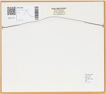 Lars Lerin, "Yttre stök".