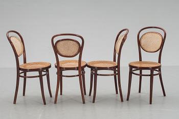 STOLAR, 4 st, märkta ZPM, Radomsko. Polen. 1900-talets början.