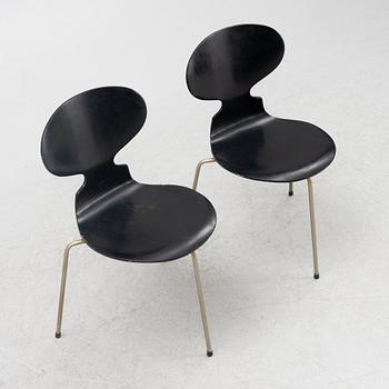 Arne Jacobsen, stolar, 6 st, "Myran", Fritz Hansen, Danmark, 1950/60-tal.