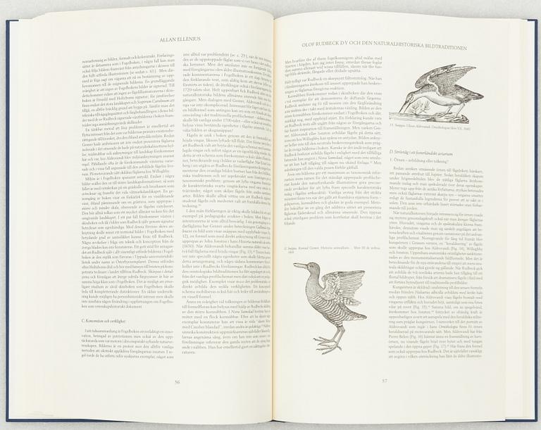 Olof Rudbeck d.y., "Svenska fåglar".