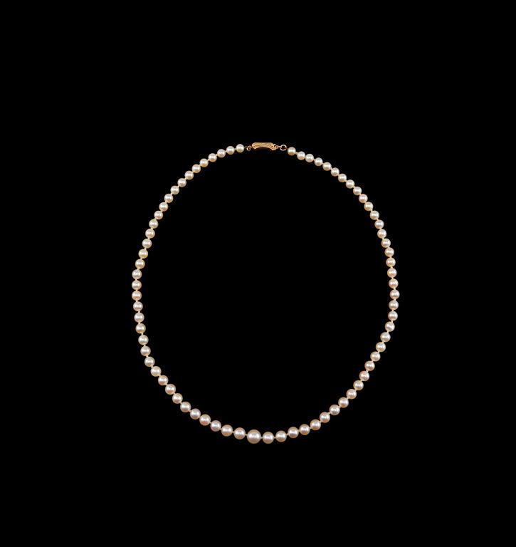 A NECKLACE, cultivated seawater pearls 5 - 8,5 mm. Clasp 18K gold. Length 54 cm.