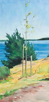440. Ilkka Lammi, SVEABORG.