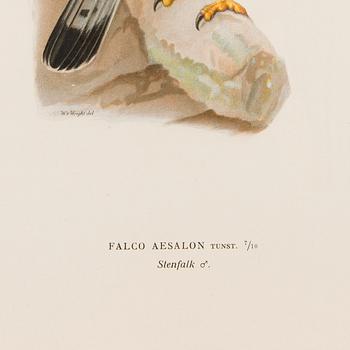 LITHOGRAPHS, 5 pcs, after Wilhelm von Wright and Bror Hallberg. A. Börtzell, Stockholm.