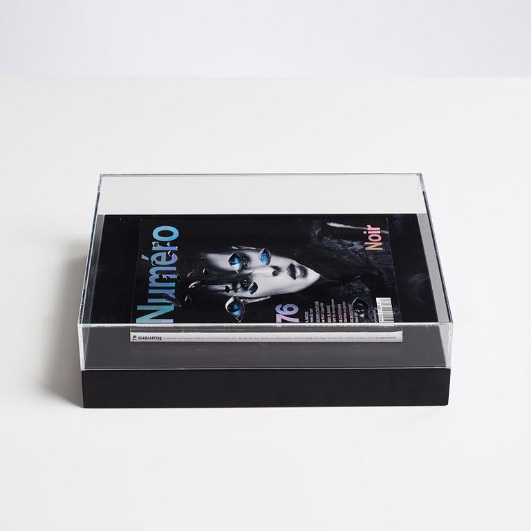 Anna Nordquist Andersson, "I see through you".