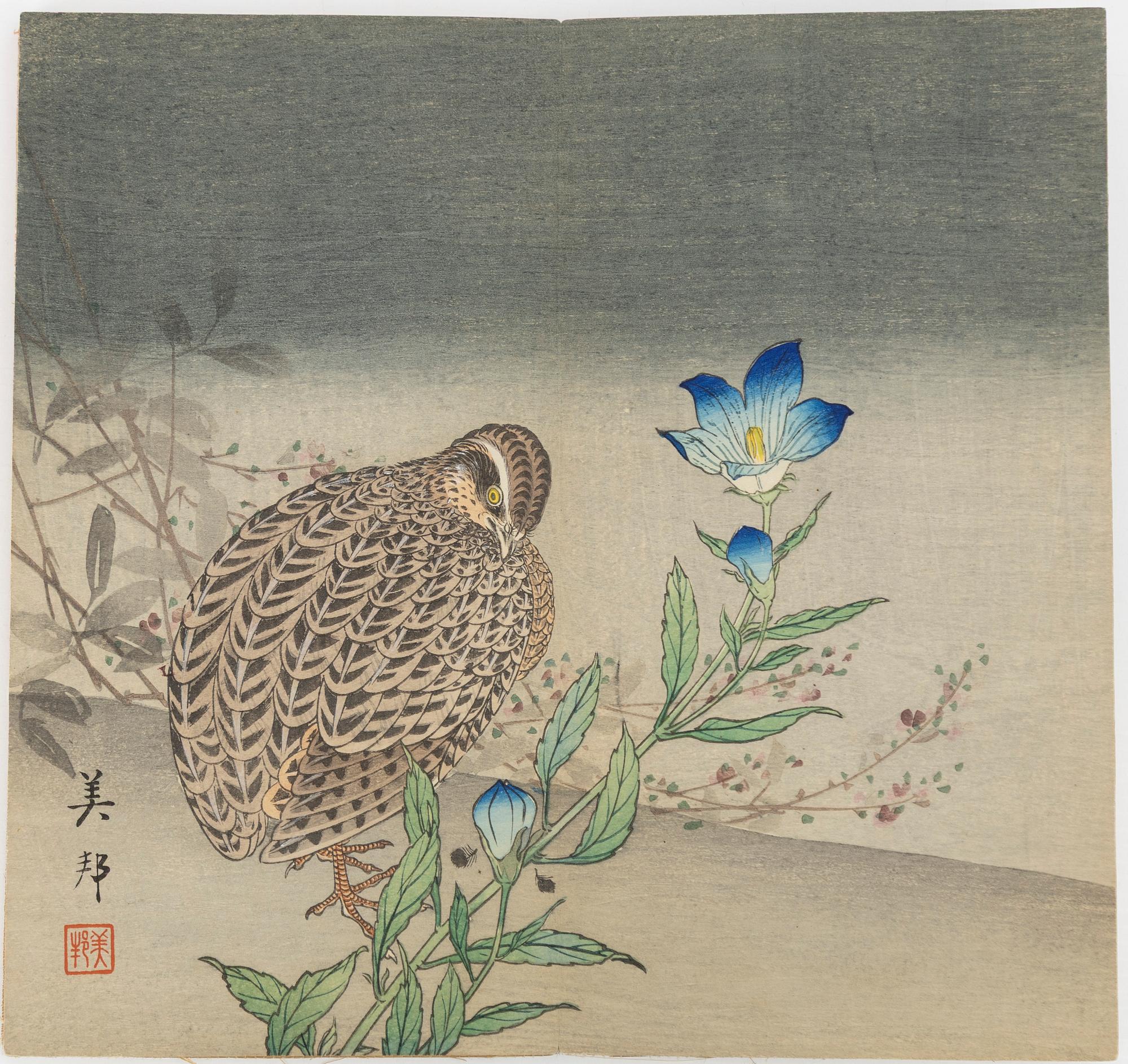Bihō Takahashi (aktive around 1890-1930), album with 12 woodblock prints, publisher Heikichi Matsuki.