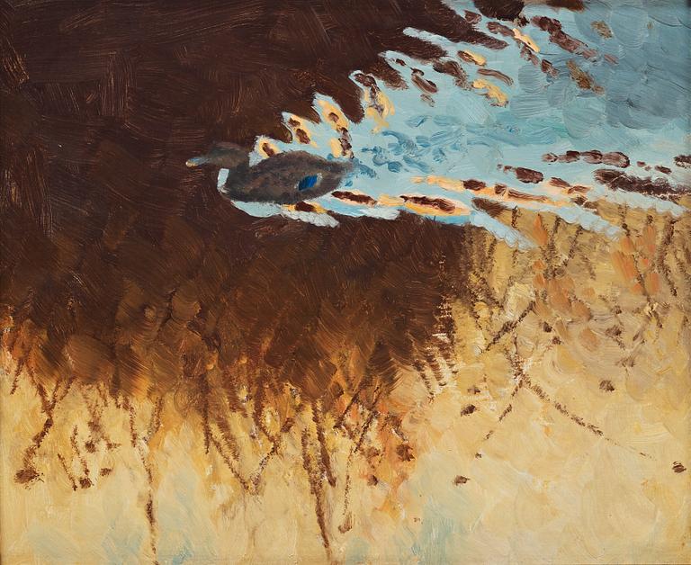 Bruno Liljefors, Mallard in reflecting water.
