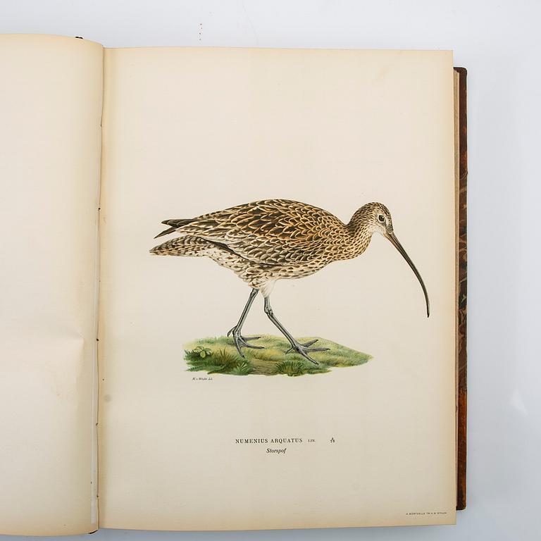 The Wright Brothers, book work, 3 volumes, "Swedish Birds", A. Börtzells tryckeri AB, Ivar Baarsen, Stockholm, 1924-1929.