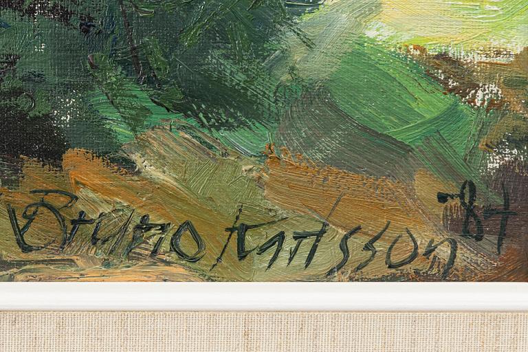 Bruno Karlsson, vy med fäbodar.