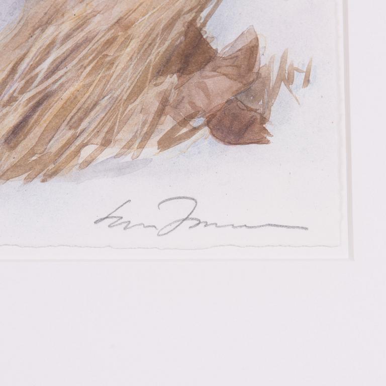 Lars Jonsson, "Vinterskogen vaknar".