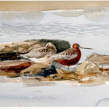 Lars Jonsson, ,  watercolour signed and dated 1993.
