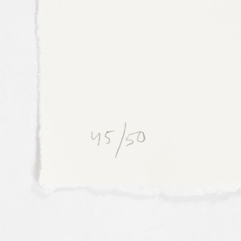 Jan Håfström, etching in colours, 2020, signed 45/50.