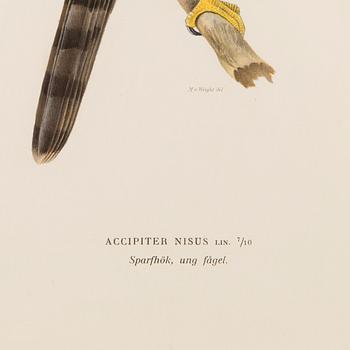 LITHOGRAPHS, 5 pcs, after Wilhelm von Wright and Bror Hallberg. A. Börtzell, Stockholm.