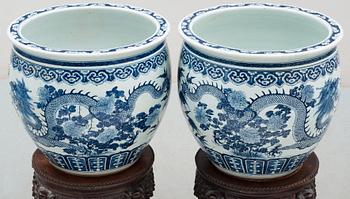 A pair of large blue and white fish basins/flower pots, late Qing dynasty, circa 1900.
