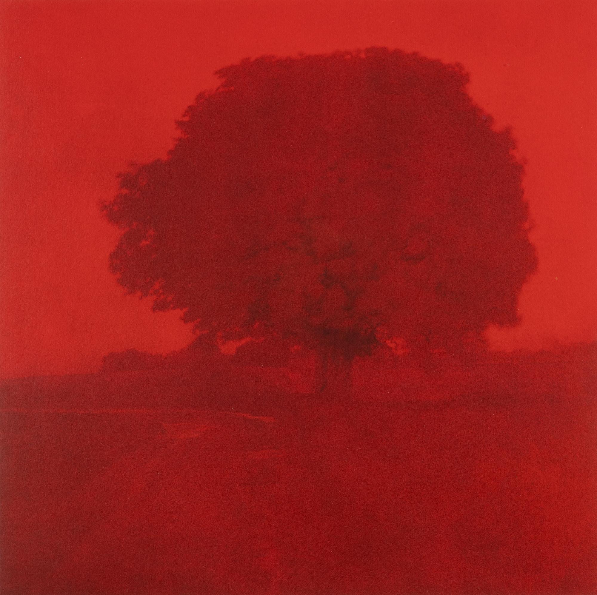 Dick Clevestam, "Storm, Brantevik, Österlen".