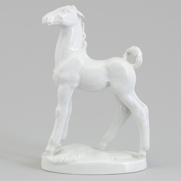 A white glazed Meissen figure of a foal, Germany 1955.