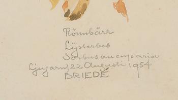 JOHAN BRIEDÉ, akvarell, sign Ljugarn augusti 1954.