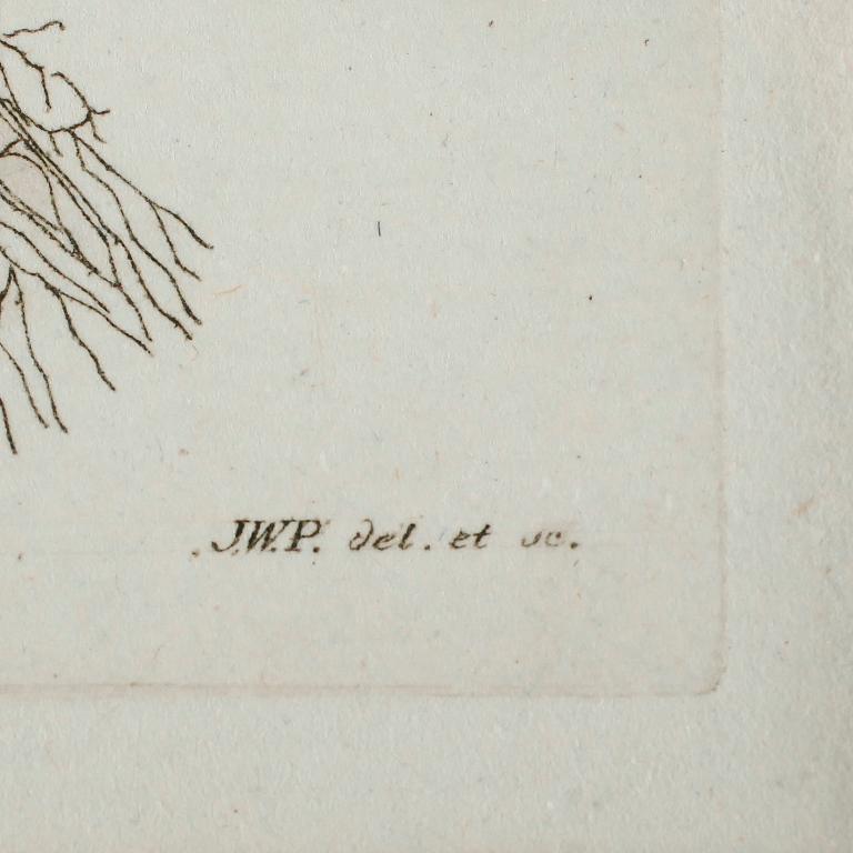 JOHAN WILHELM PALMSTRUCH, 3 st, kolorerade kopparstick, 1800-talets första hälft.