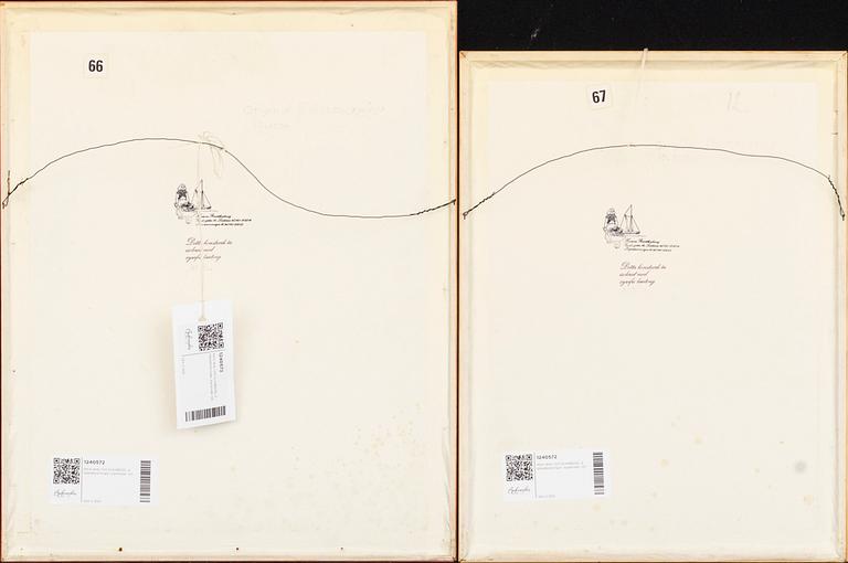 MAX WALTER SVANBERG, two signed ink drawings.