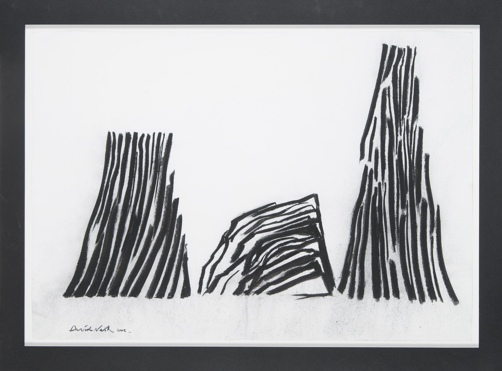 David Nash, "Shadow lines".