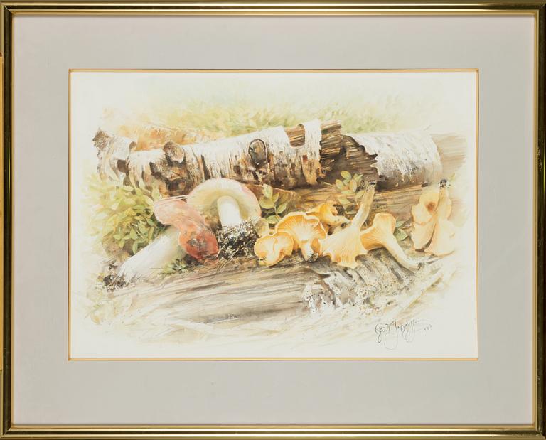 Fritz Jakobsson, watercolour, signed and dated 1987.