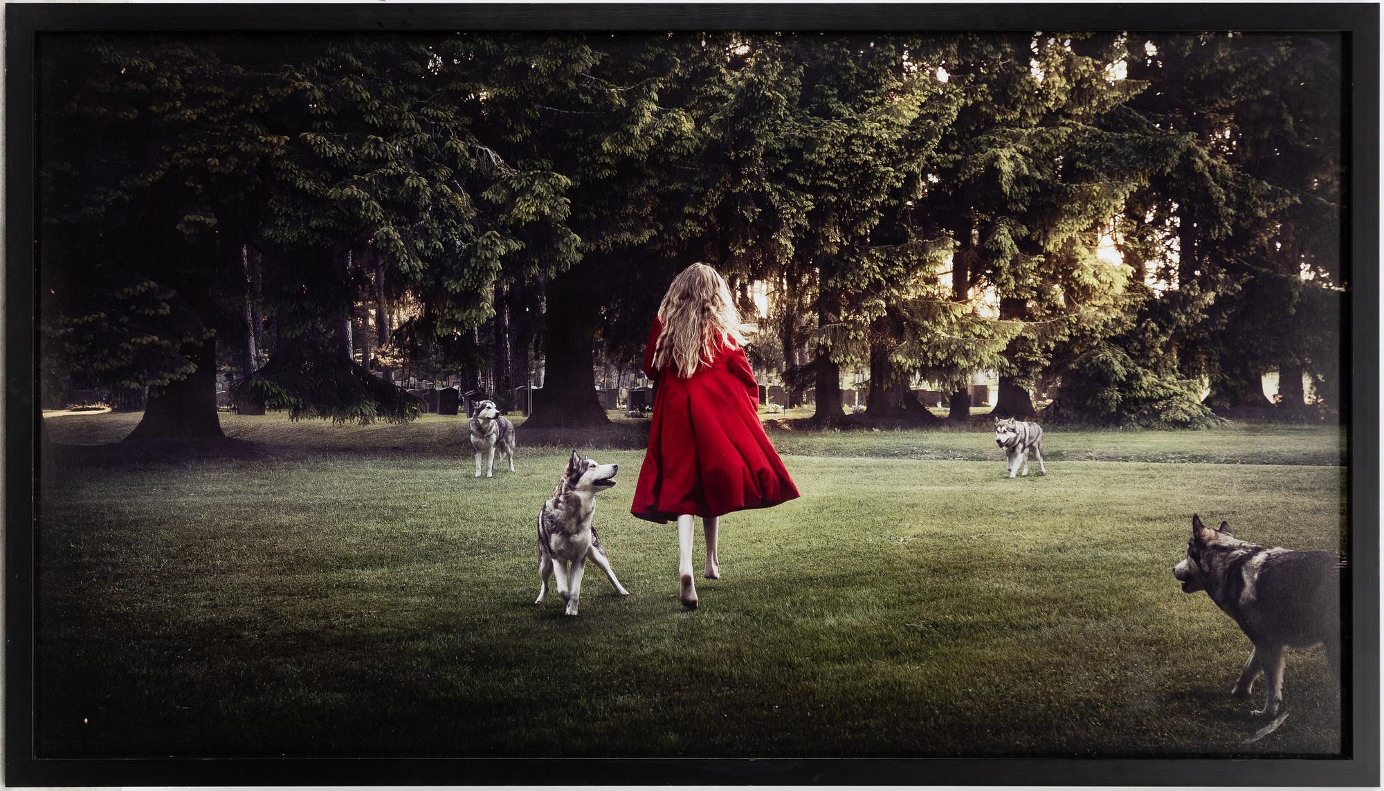 Saga Wendotte, "Into the Woods".