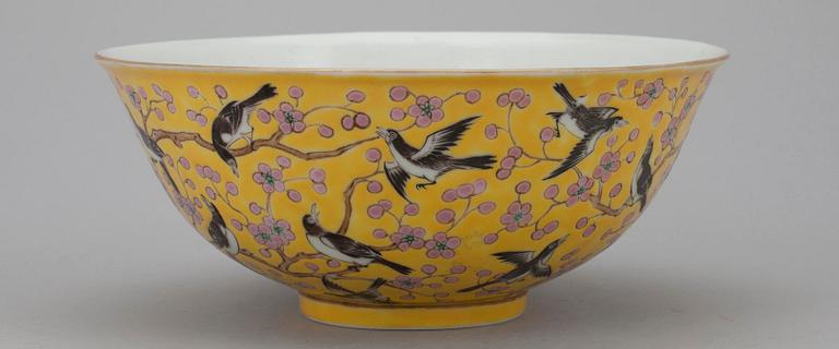 SKÅL, Kina, porslin, Guang Xu 1875-1908.