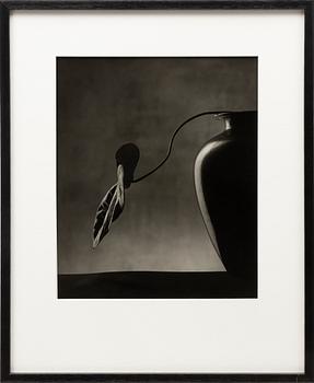 Christian Coigny, "Vase Noir", 1988.