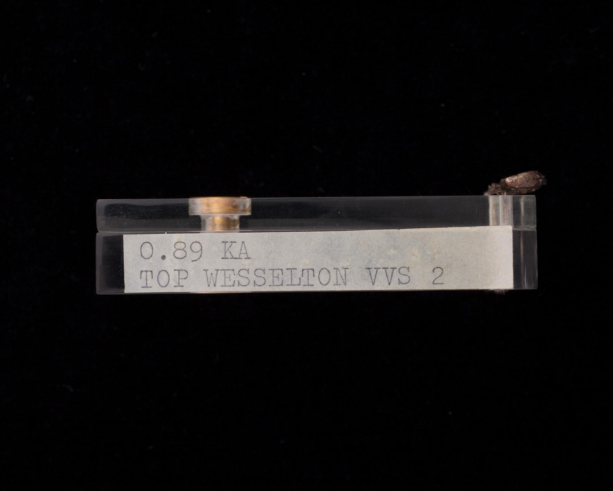 DIAMANT, briljantslipad 0,89 ct F-G (Top Wesselton) / VVS2.