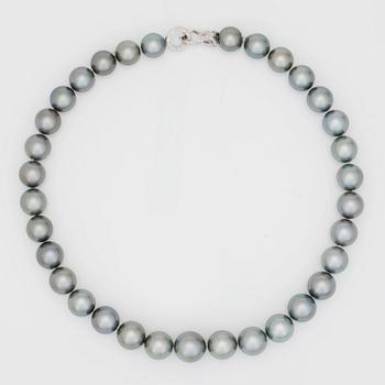 A cultured tahiti pearl necklace.