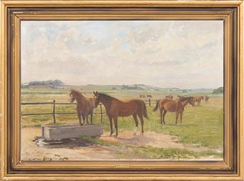 Axel Kleimer, Grazing Horses.