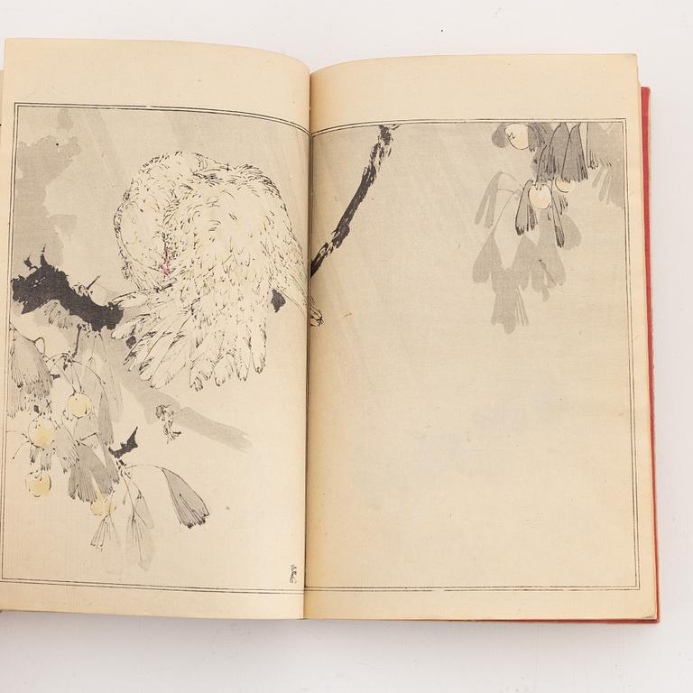 Shotei Watanabe,