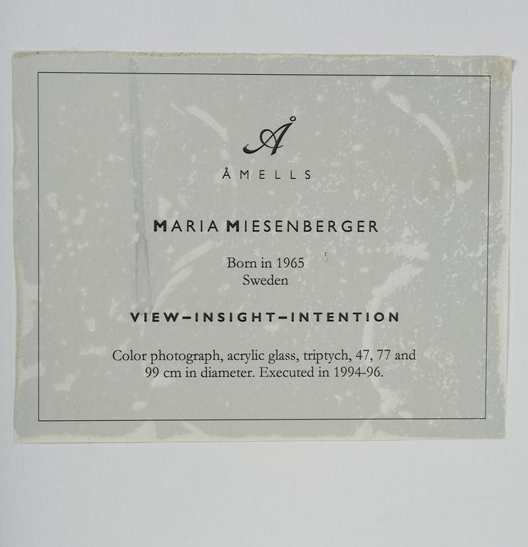 Maria Miesenberger, "View-Insight-Intention", 1994.