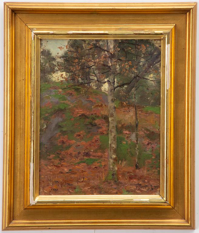 Erik Tryggelin, Autumn Birch.