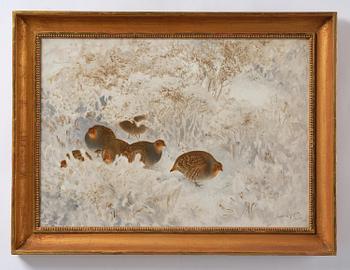 Bruno Liljefors, Grouse in snow.