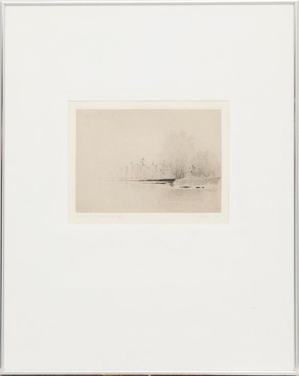 Gunnar Norrman, "Mist Over the Lake".