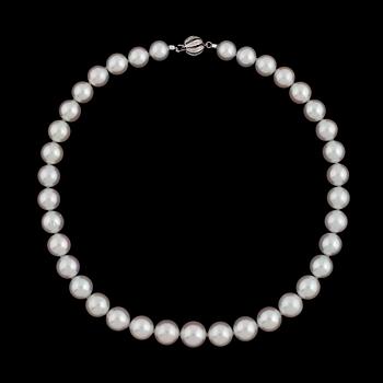 1310. COLLIER, odlade South sea pärlor, 13-10 mm,