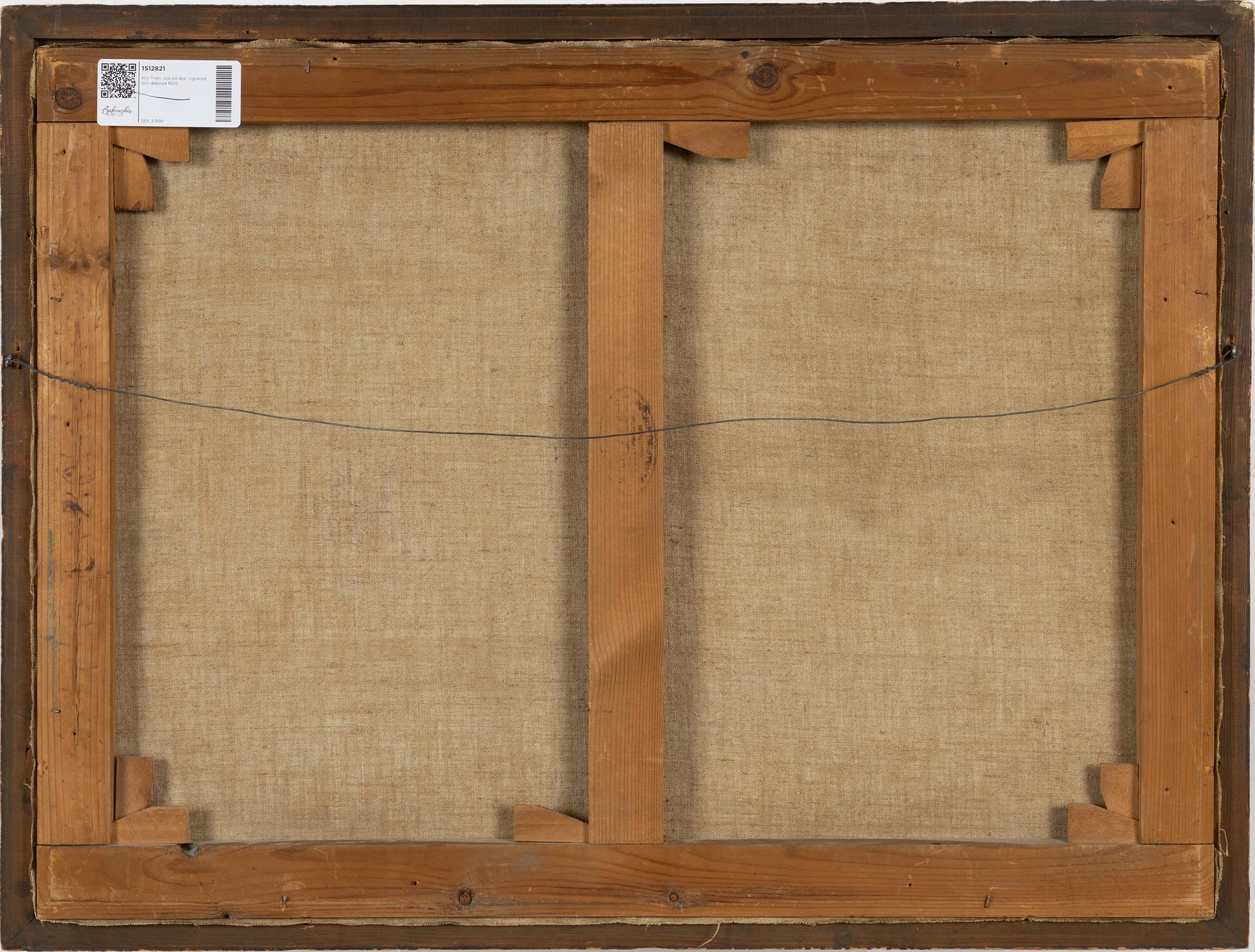 Nils Tirén, Gräsandspar vid vak.