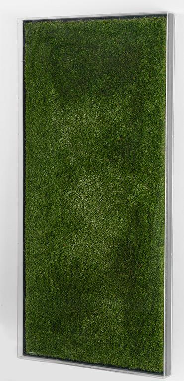 Yves Scherer, "Fructis Hardcore (1)".