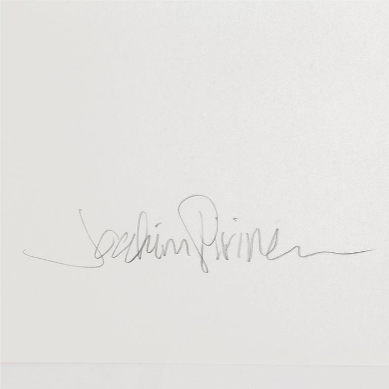 JOAKIM PIRINEN, pigment print, signerat. Ed 11/100.