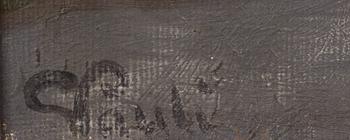 Georg Pauli, Archipelago view.